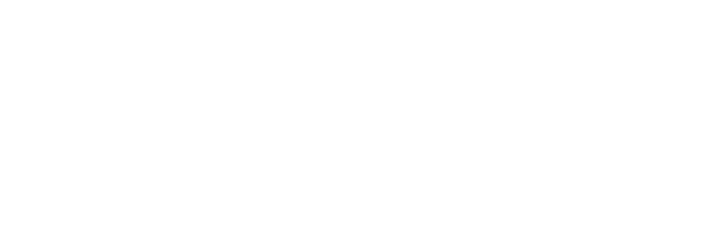 Big Island Logo Grey JPEG 2022 copy 2