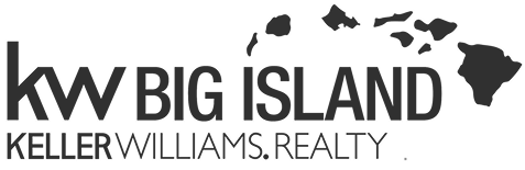 Big-Island-Logo-Grey-JPEG-2022-copy-2-1024x331